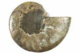 Bargain, Cut & Polished Ammonite Fossil (Half) - Madagascar #282616-1